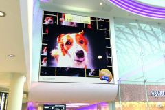led-digital-signage
